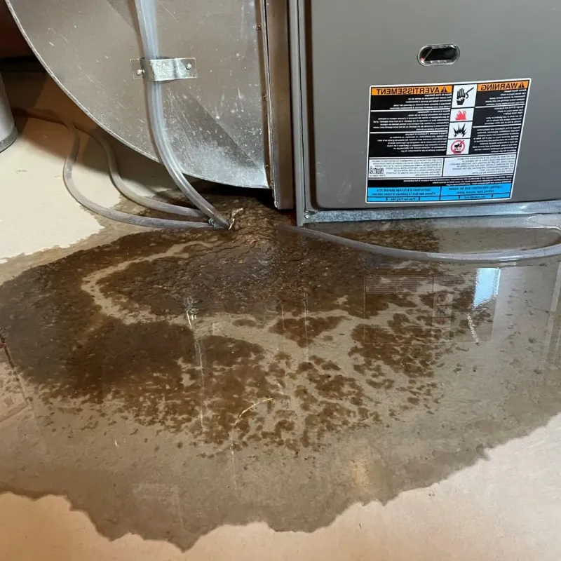 Pipe Burst and Leak Restoration in Stigler, OK